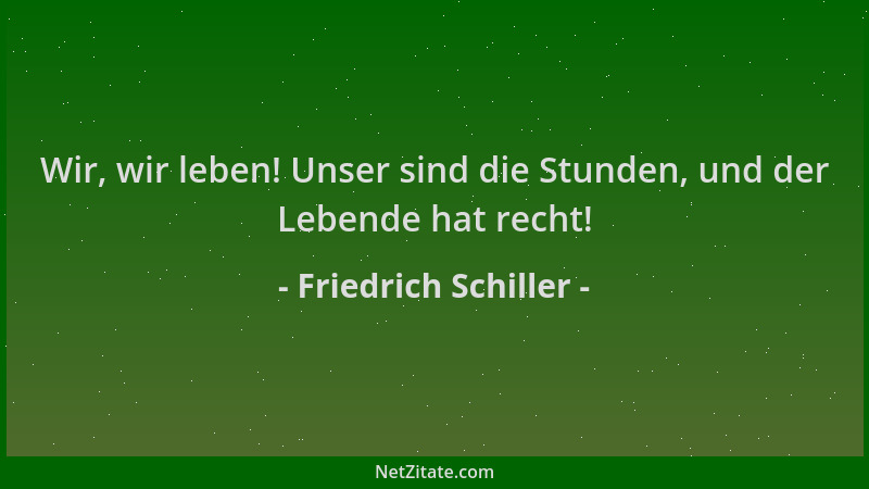 Friedrich Schiller - Wir, wir leben! Unser sind die Stunden, und der Lebende hat recht!...