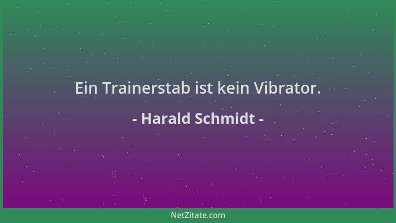 Harald Schmidt - Ein Trainerstab ist kein Vibrator....