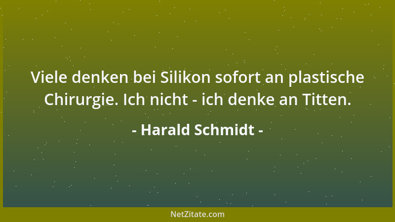 Harald Schmidt - Viele denken bei Silikon sofort an plastische Chirurgie. Ich nicht - ich denke an Titten....