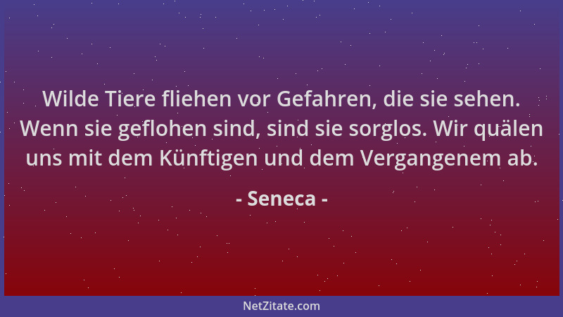 Seneca - Wilde Tiere fliehen vor Gefahren, die sie sehen. Wenn sie geflohen sind, sind sie sorglos. Wir quälen uns mit dem...