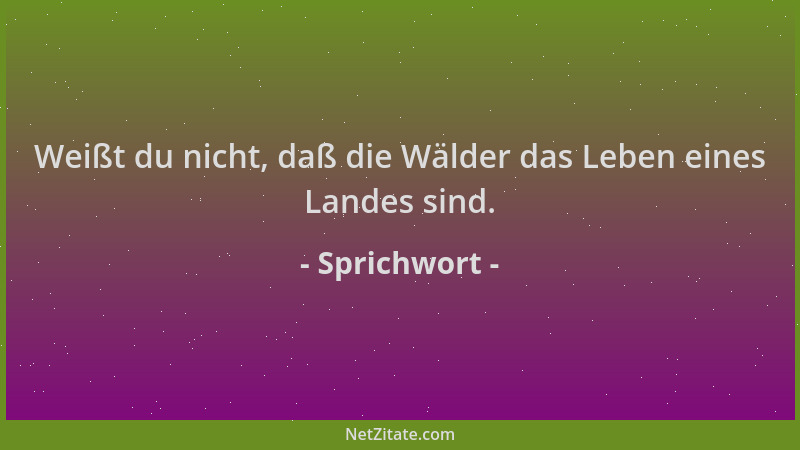 Sprichwort - Weißt du nicht, daß die Wälder das Leben eines Landes sind....