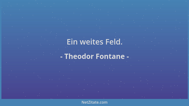 Theodor Fontane - Ein weites Feld....