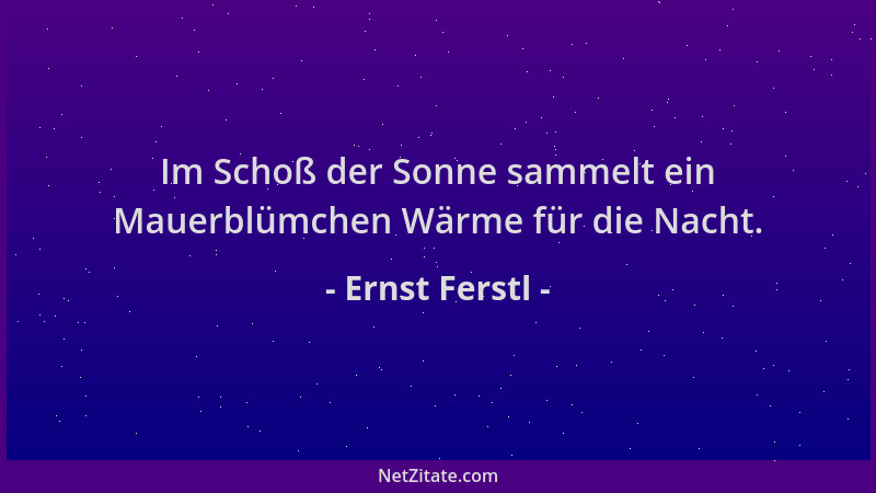 Ernst Ferstl - Im Schoß der Sonne sammelt ein Mauerblümchen Wärme für die Nacht....