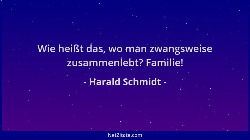 Harald Schmidt - Wie heißt das, wo man zwangsweise zusammenlebt? Familie!...