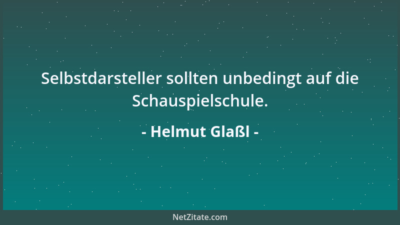 Helmut Glaßl - Selbstdarsteller sollten unbedingt auf die Schauspielschule....