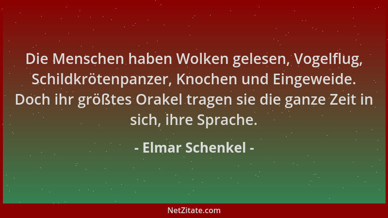 Elmar Schenkel - Die Menschen haben Wolken gelesen, Vogelflug, Schildkrötenpanzer, Knochen und Eingeweide. Doch ihr größtes...