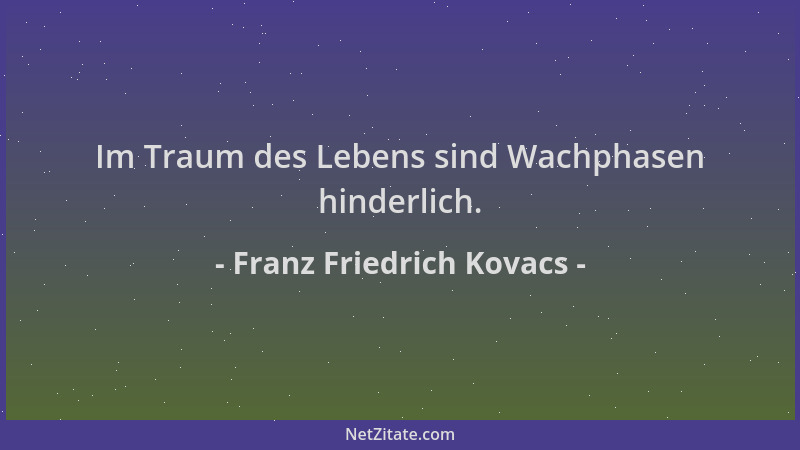 Franz Friedrich Kovacs - Im Traum des Lebens sind Wachphasen hinderlich....