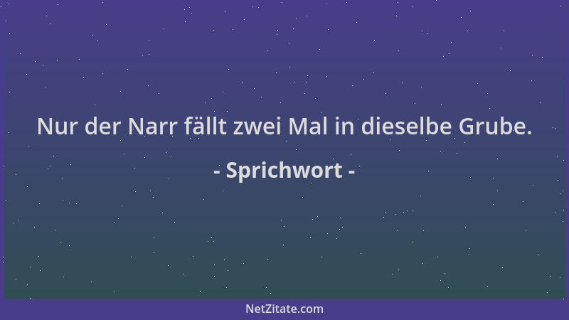 Sprichwort - Nur der Narr fällt zwei Mal in dieselbe Grube....
