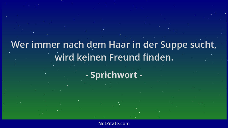 Sprichwort - Wer immer nach dem Haar in der Suppe sucht, wird keinen Freund finden....