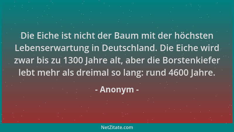 Anonym - Die Eiche ist nicht der Baum mit der höchsten Lebenserwartung in Deutschland. Die Eiche wird zwar bis zu 1300 Jahr...