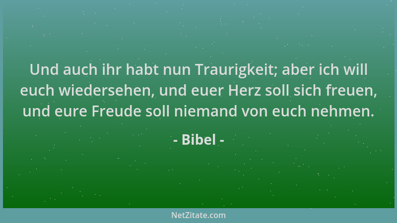 Bibel - Und auch ihr habt nun Traurigkeit; aber ich will euch wiedersehen, und euer Herz soll sich freuen, und eure Freude...