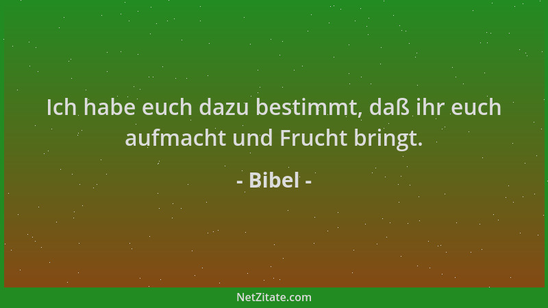 Bibel - Ich habe euch dazu bestimmt, daß ihr euch aufmacht und Frucht bringt....