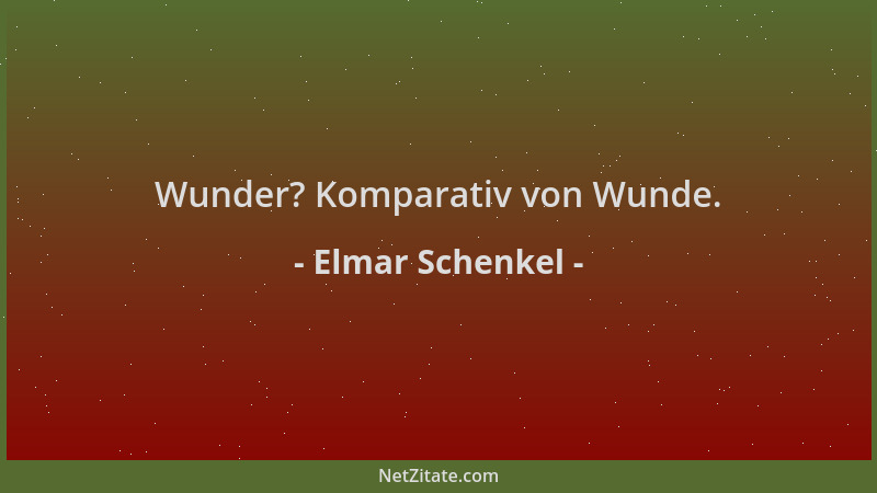Elmar Schenkel - Wunder? Komparativ von Wunde....