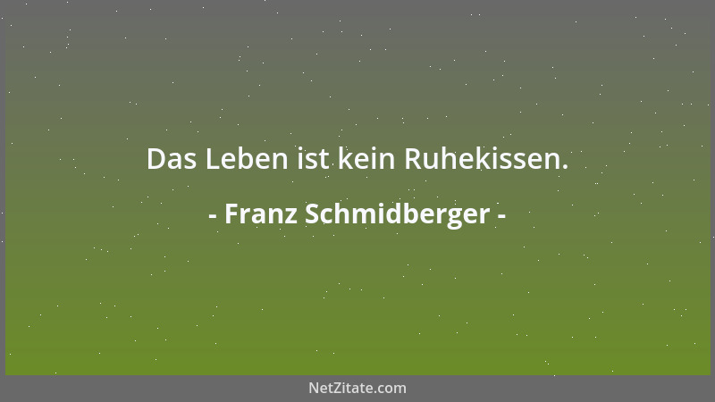 Franz Schmidberger - Gut gemeinte Ratschläge können eine wertvolle Orientierungshilfe sein....