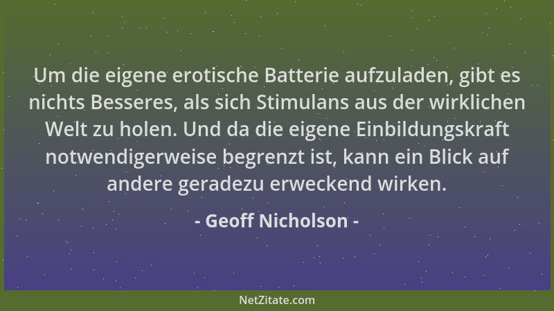 Geoff Nicholson - Um die eigene erotische Batterie aufzuladen, gibt es nichts Besseres, als sich Stimulans aus der wirklich...