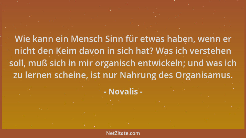 Novalis - Wie kann ein Mensch Sinn für etwas haben, wenn er nicht den Keim davon in sich hat? Was ich verstehen soll, muß s...