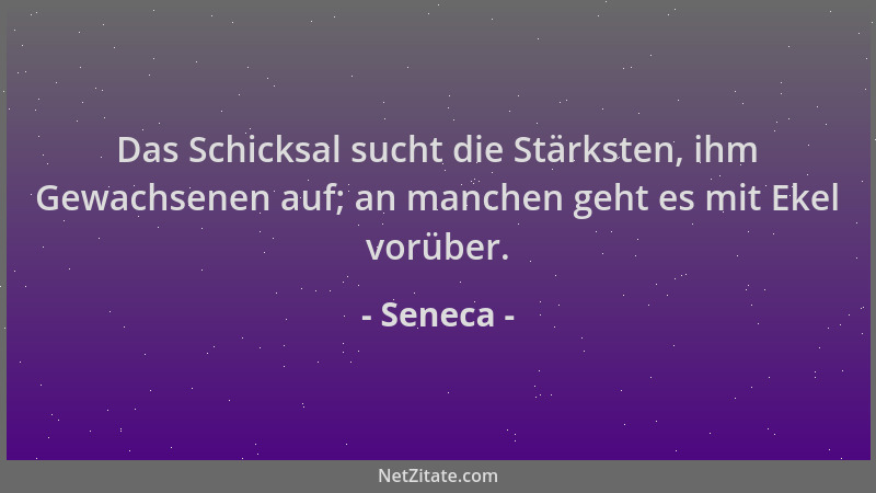 Seneca - Das Schicksal sucht die Stärksten, ihm Gewachsenen auf; an manchen geht es mit Ekel vorüber....