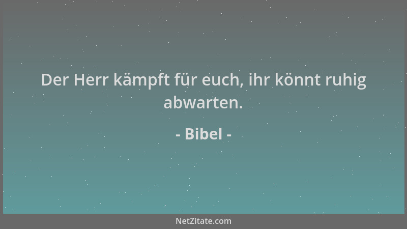 Bibel - Der Herr kämpft für euch, ihr könnt ruhig abwarten....