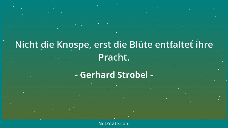 Gerhard Strobel - Zufall ist nur eine Beschreibung der menschlichen Unfähigkeit, zeitlich-räumliche Zusammenhänge zu erkenn...