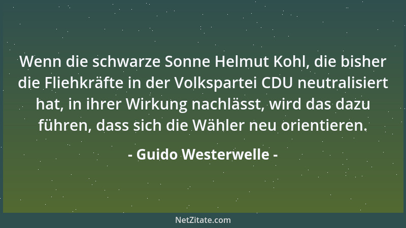 Guido Westerwelle - Wenn die schwarze Sonne Helmut Kohl, die bisher die Fliehkräfte in der Volkspartei CDU neutralisiert ha...