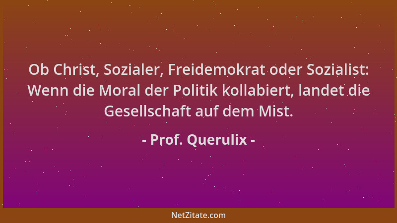 Prof. Querulix - Ob Christ, Sozialer, Freidemokrat oder Sozialist: Wenn die Moral der Politik kollabiert, landet die Gesell...
