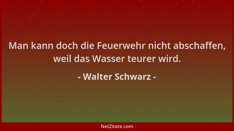 Walter Schwarz - Man kann doch die Feuerwehr nicht abschaffen, weil das Wasser teurer wird....