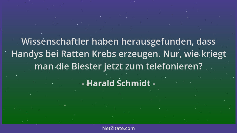 Harald Schmidt - Wissenschaftler haben herausgefunden, dass Handys bei Ratten Krebs erzeugen. Nur, wie kriegt man die Biest...