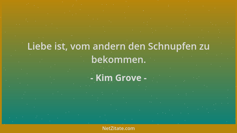 Kim Grove - Liebe ist, vom andern den Schnupfen zu bekommen....