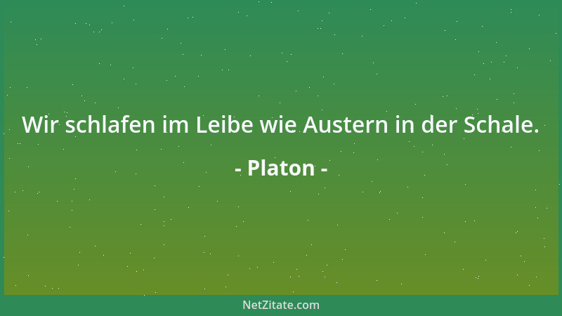 Platon - Wir schlafen im Leibe wie Austern in der Schale....