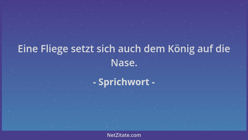 Sprichwort - Eine Fliege setzt sich auch dem König auf die Nase....