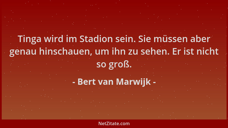 Bert van Marwijk - Tinga wird im Stadion sein. Sie müssen aber genau hinschauen, um ihn zu sehen. Er ist nicht so groß....