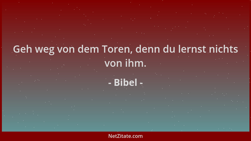 Bibel - Geh weg von dem Toren, denn du lernst nichts von ihm....