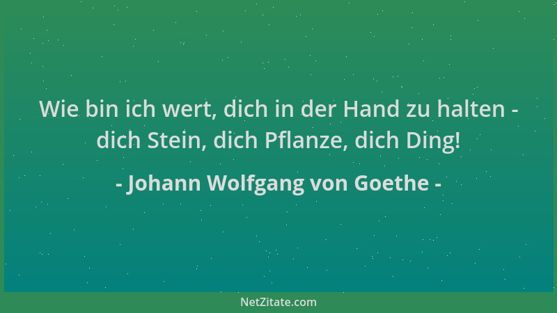 Johann Wolfgang von Goethe - Wie bin ich wert, dich in der Hand zu halten - dich Stein, dich Pflanze, dich Ding!...