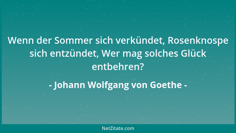 Johann Wolfgang von Goethe - Ich sehe immer mehr, daß jeder nur sein Handwerk ernsthaft treiben und das übrige alles lustig...