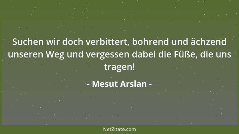 Mesut Arslan - Suchen wir doch verbittert, bohrend und ächzend unseren Weg und vergessen dabei die Füße, die uns tragen!...