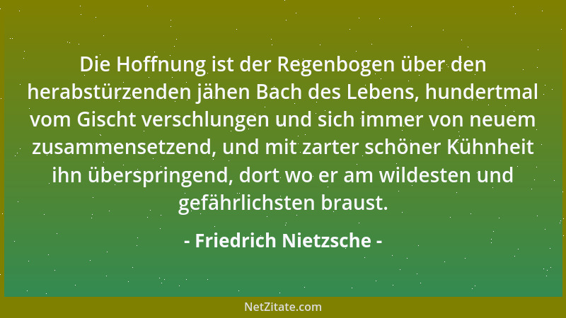 Friedrich Nietzsche - Die Hoffnung ist der Regenbogen über den herabstürzenden jähen Bach des Lebens, hundertmal vom Gischt...
