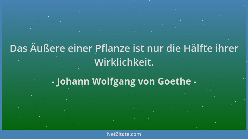 Johann Wolfgang von Goethe - Das Äußere einer Pflanze ist nur die Hälfte ihrer Wirklichkeit....
