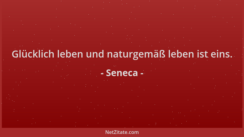 Seneca - Glücklich leben und naturgemäß leben ist eins....