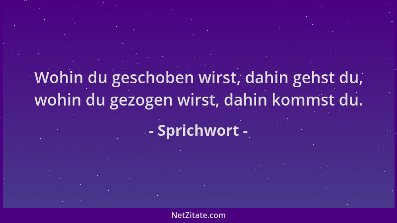 Sprichwort - Wohin du geschoben wirst, dahin gehst du, wohin du gezogen wirst, dahin kommst du....