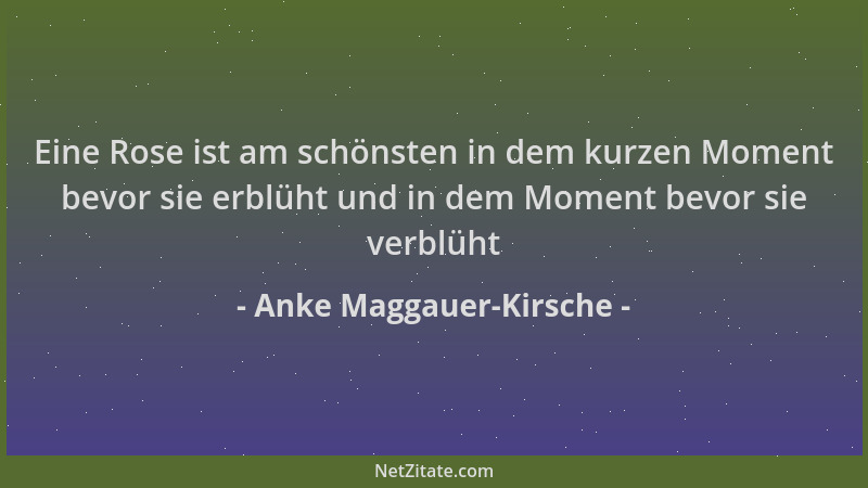 Anke Maggauer-Kirsche - Eine Rose ist am schönsten in dem kurzen Moment bevor sie erblüht und in dem Moment bevor sie verbl...