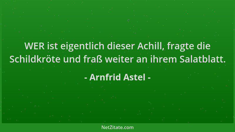 Arnfrid Astel - WER ist eigentlich dieser Achill, fragte die Schildkröte und fraß weiter an ihrem Salatblatt....