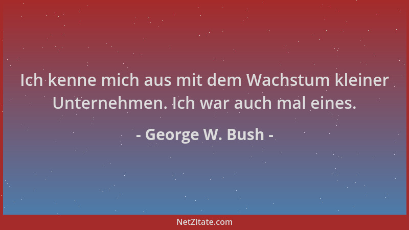 George W. Bush - Ich kenne mich aus mit dem Wachstum kleiner Unternehmen. Ich war auch mal eines....