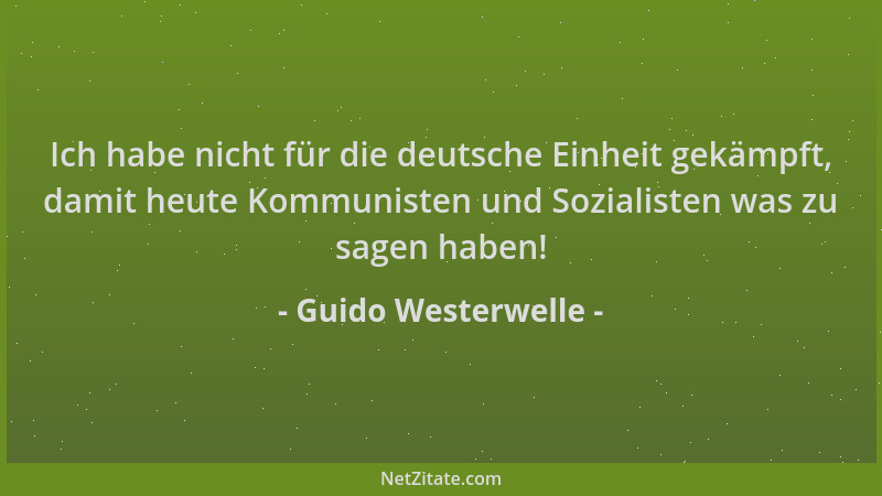 Guido Westerwelle - Ich habe nicht für die deutsche Einheit gekämpft, damit heute Kommunisten und Sozialisten was zu sagen...