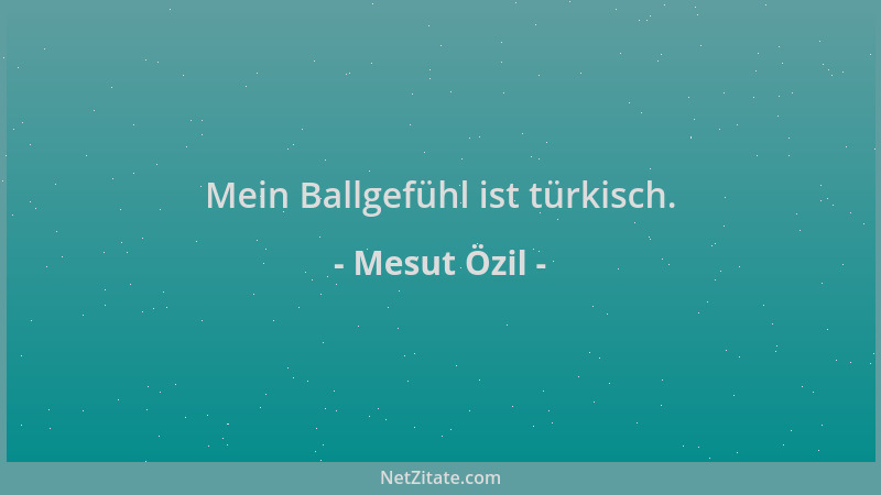 Mesut Özil - Mein Ballgefühl ist türkisch....