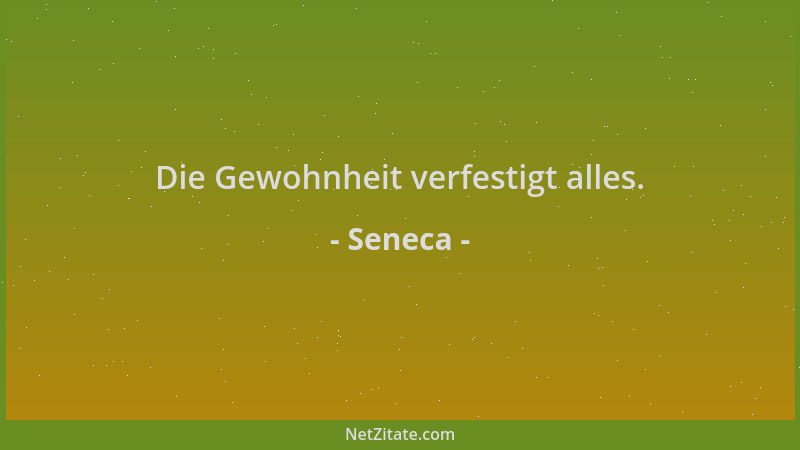 Seneca - Die Gewohnheit verfestigt alles....