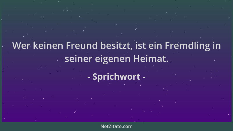 Sprichwort - Wer keinen Freund besitzt, ist ein Fremdling in seiner eigenen Heimat....