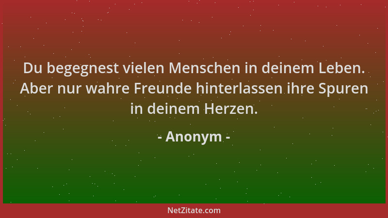 Anonym - Du begegnest vielen Menschen in deinem Leben. Aber nur wahre Freunde hinterlassen ihre Spuren in deinem Herzen....