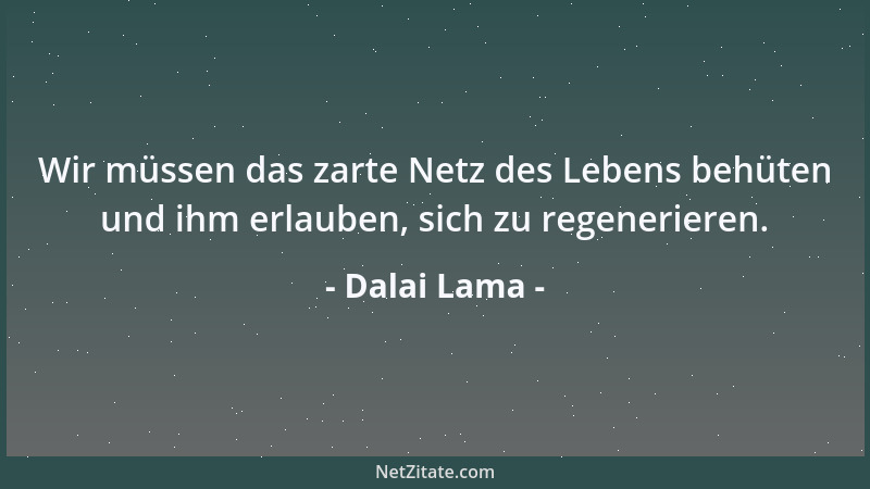 Dalai Lama - Wir müssen das zarte Netz des Lebens behüten und ihm erlauben, sich zu regenerieren....