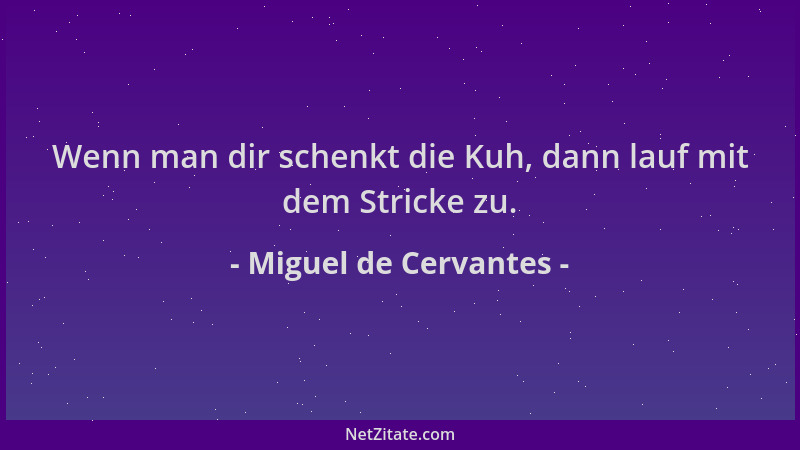 Miguel de Cervantes - Wenn man dir schenkt die Kuh, dann lauf mit dem Stricke zu....