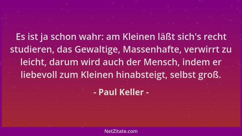 Paul Keller - Es ist ja schon wahr: am Kleinen läßt sich 's recht studieren, das Gewaltige, Massenhafte, verwirrt zu leicht,...